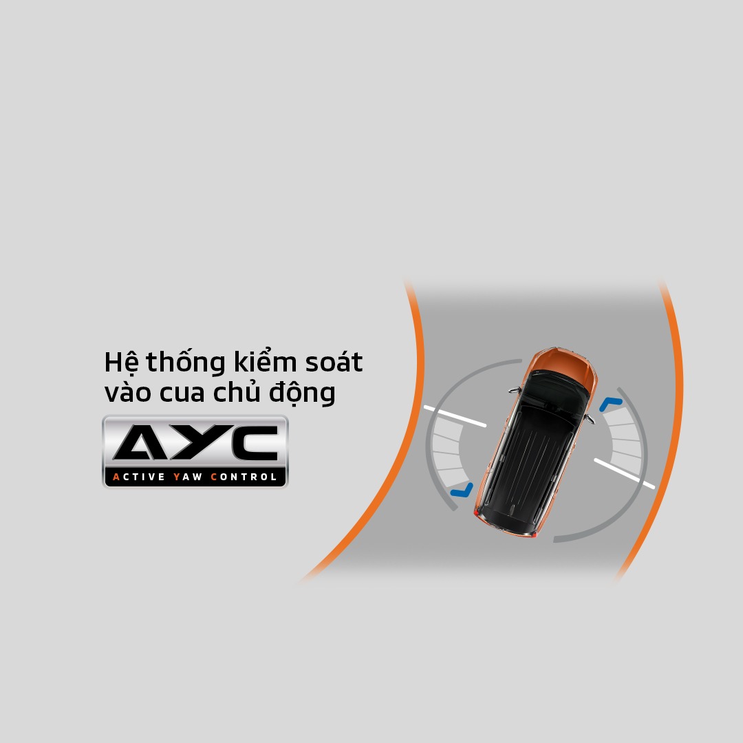 Hệ thống AYC